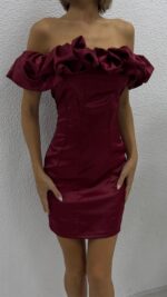 Darell Rose Elbise - Bordo - Görsel 3