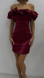Darell Rose Elbise - Bordo - Görsel 5