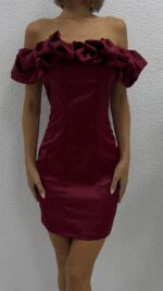 Darell Rose Elbise - Bordo - Görsel 6