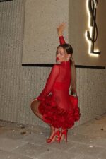 Dasha Transparan Güllü Elbise - Kırmızı - Görsel 7