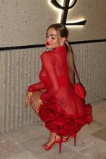Dasha Transparan Güllü Elbise - Kırmızı - Görsel 6